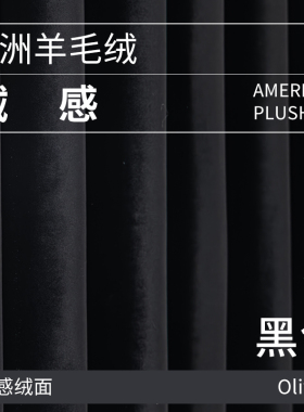新款黑色丝绒窗帘全遮光卧室舞蹈室落地窗客厅直播背景羊毛绒定制