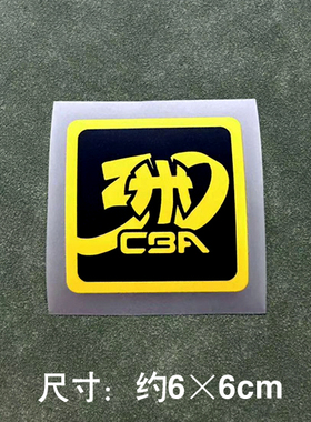 CBA篮球联赛30周年烫印标DIY热转印logo服装印刷球衣定制印花图案