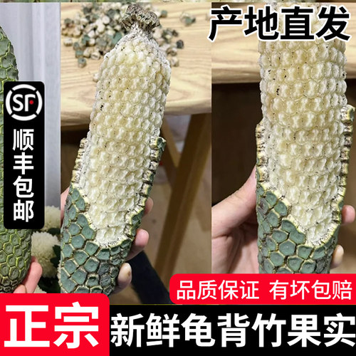 发顺丰新鲜龟背竹果实蓬莱蕉大果