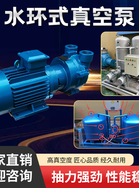 2BV系列水环式真空泵工业用水循环高真空泵抽气泵大功率压缩机