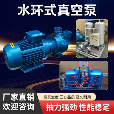 2BV系列水环式真空泵工业用水循环高真空泵抽气泵大功率压缩机
