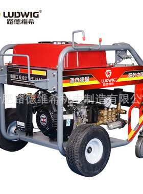 汽油款高压清洗机200bar/310bar热水冲洗机工地用市政物业洗车机