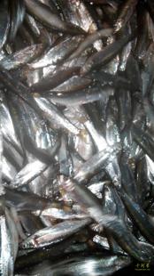 山河星土鱼野杂鱼淡水生态小鱼干佐餐配菜熟福建三明清流溪九龙湖