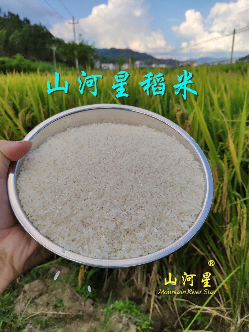 山河星大米香米白米 农场优质软米糙米贡米丝苗水稻米汕稻大米5斤