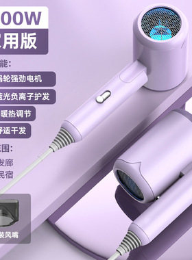 国内国外亚马逊家用吹风机110V美规日规台湾欧规英规230V吹风筒