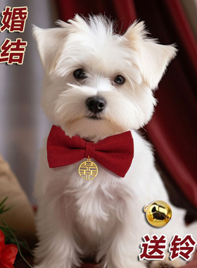 宠物猫咪狗狗结婚喜庆领结蝴蝶结红色大狗装饰脖圈颈圈项链通用