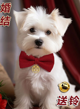 宠物猫咪狗狗结婚喜庆领结蝴蝶结红色大狗装饰脖圈颈圈项链通用