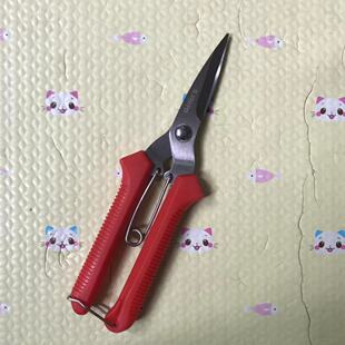 编藤剪刀葡萄修枝剪园艺采果芽剪刀修花柑橘子摘果稀果剪水果蔬果