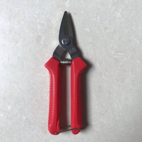 编藤椅葡萄剪桔子剪刀稀果剪番茄剪摘果剪刀蔬果剪柠檬剪编藤剪刀