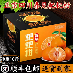 正宗四川春见耙耙柑粑粑柑新鲜水果手剥橘子桔子净重10斤顺丰现摘