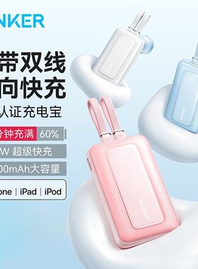 Anker Power Bank 20000mAh Portable Charger with USB-C Cable