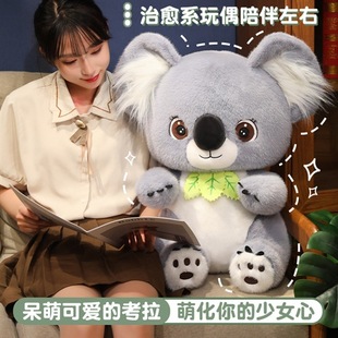 小考拉玩偶树袋熊公仔树懒毛绒玩树熊具儿童可爱娃娃澳大利亚礼物