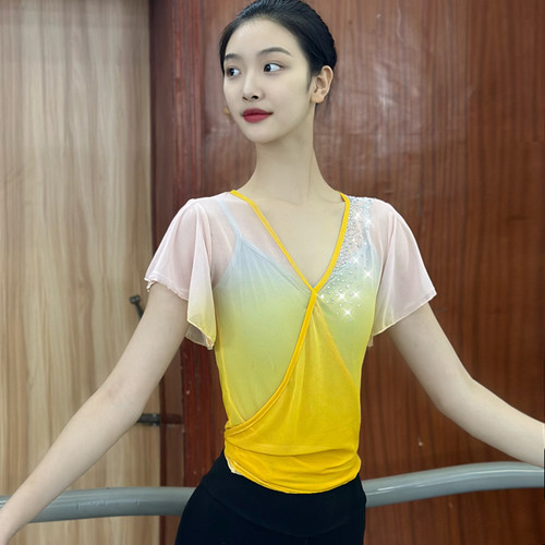 古典舞练功服女身渐变中国舞网纱