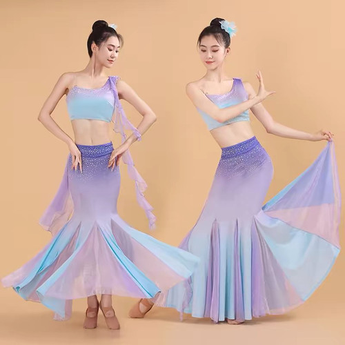 傣族舞蹈演出服女艺考修身鱼尾裙孔雀舞练功服西双版纳民族表演服