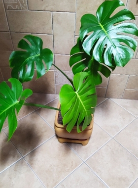 诺贝尔瓷砖T13609规格150×300磁砖地砖墙砖