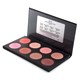 fashion rouge palette8色盘腮红胭脂盘 美国bennye esp 922