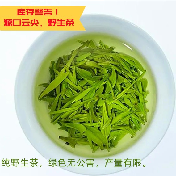 直销马坑源口云尖绿茶回甘好明前