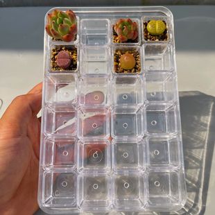 多肉新款迷你拇指花盆塑料方盆透明控根多肉生石亚克力育苗播种