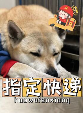 指定快递补充费用链接【单独拍不发货！】温馨提醒请确认后再拍