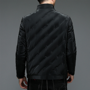 6102/商务休闲潮流羽绒服男装中青年男装爸爸羽绒外套图片