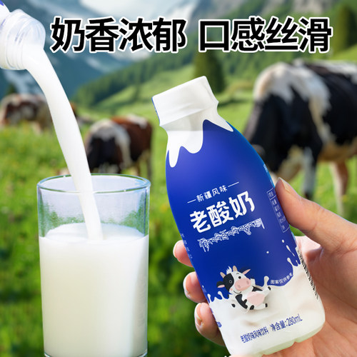 风味老酸奶280ml/瓶装奶香浓郁口感细腻早餐酸奶饮料饮品