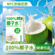 椰子水100%厂家直销250ml 10盒整箱无添加健身饮料天然饮品