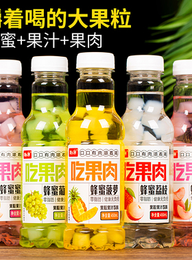 大果粒果肉果汁饮料450ml*15瓶嚼着喝多口味蜂蜜菠萝葡萄荔枝蜜桃