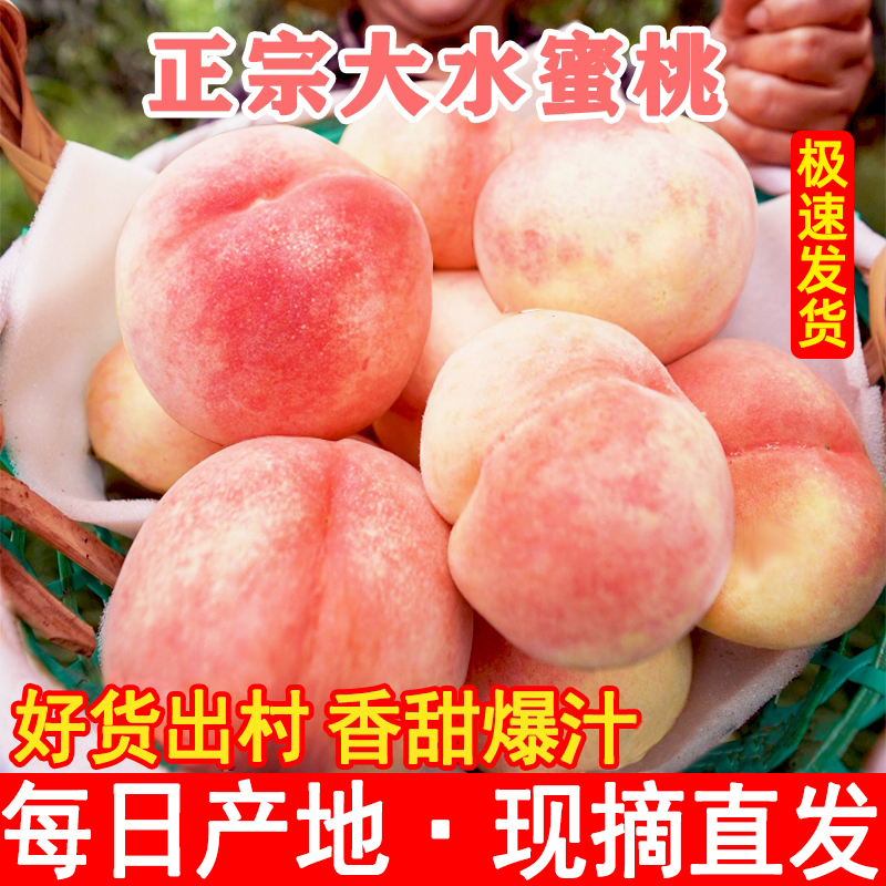 陕西水蜜桃应季毛桃子时令新鲜水果毛桃现摘可撕皮孕妇鲜软甜桃子