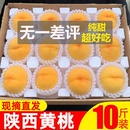 水果农家桃现摘5 陕西黄桃锦绣大黄桃10斤黄金蜜桃子水果新鲜当季