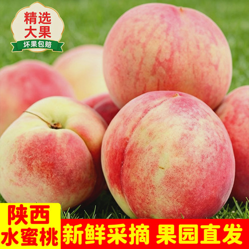 京东速发现摘陕西水蜜桃大桃子