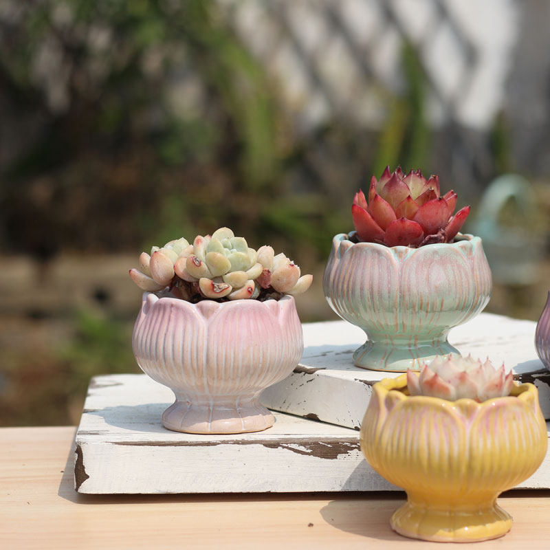 多肉植物花盆窑变小群生花盆莲花老桩盆精控桌面盆栽渐变陶瓷,鲜花速递/花卉仿真/绿植园艺,花盆,淘宝优惠券,粉丝福利购,淘宝优惠卷