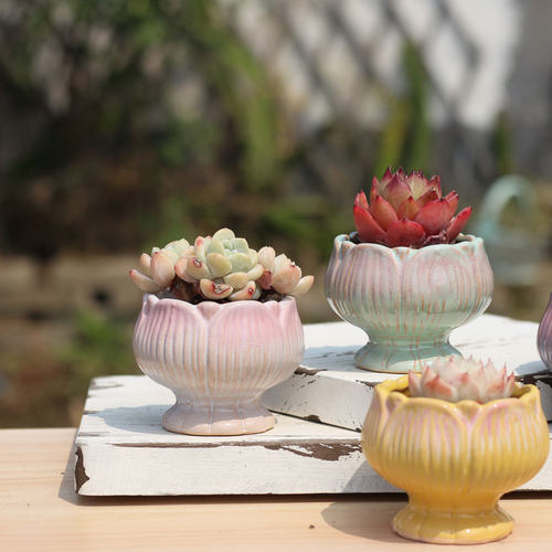 粗陶窑变多肉植物花盆