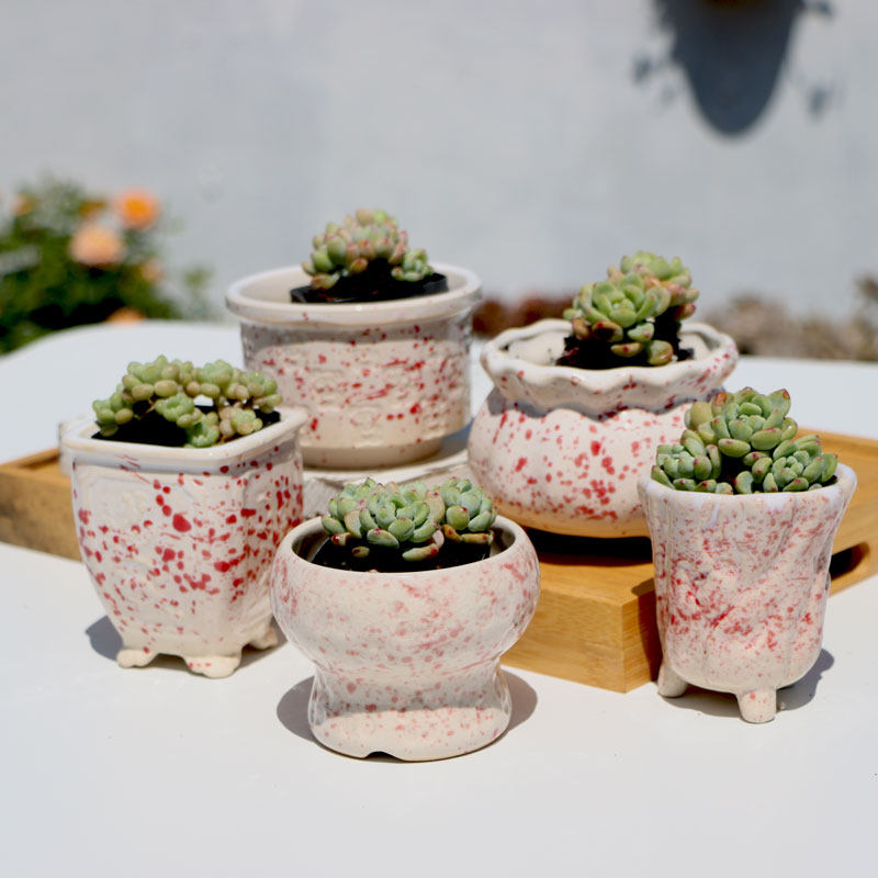 多肉植物组合盆创意红白泼墨陶瓷花盆套装室内绿植花卉肉肉陶盆,鲜花速递/花卉仿真/绿植园艺,花盆,淘宝优惠券,粉丝福利购,淘宝优惠卷