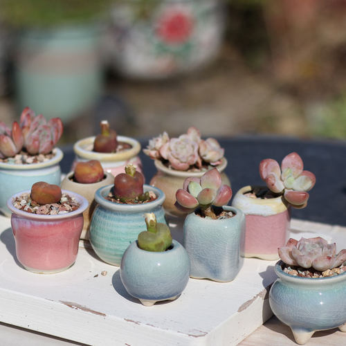 多肉花盆冰裂拇指小陶瓷