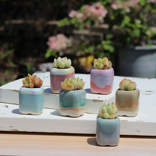 冰裂流釉方形控养拇指盆彩虹盆精致迷你粗陶肉肉盆透气陶瓷花盆