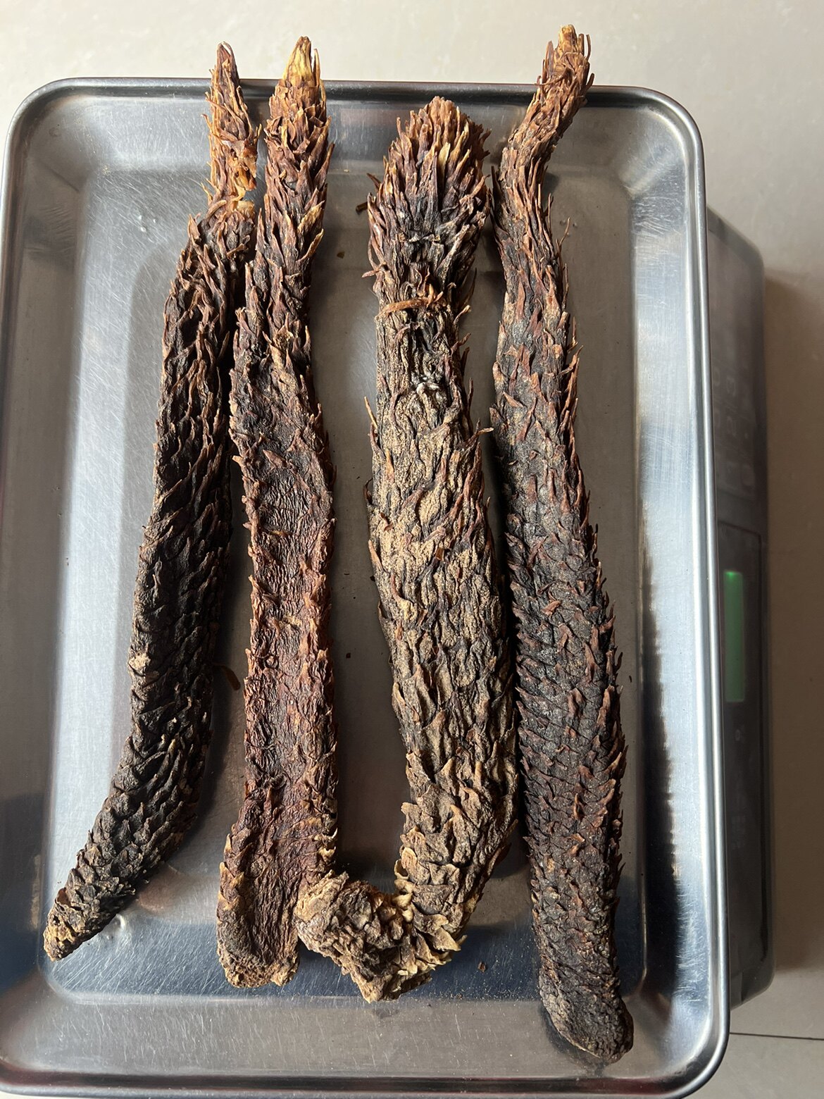 正品自然晒干内蒙古肉苁蓉可切片泡酒泡茶四根500g新货煲汤