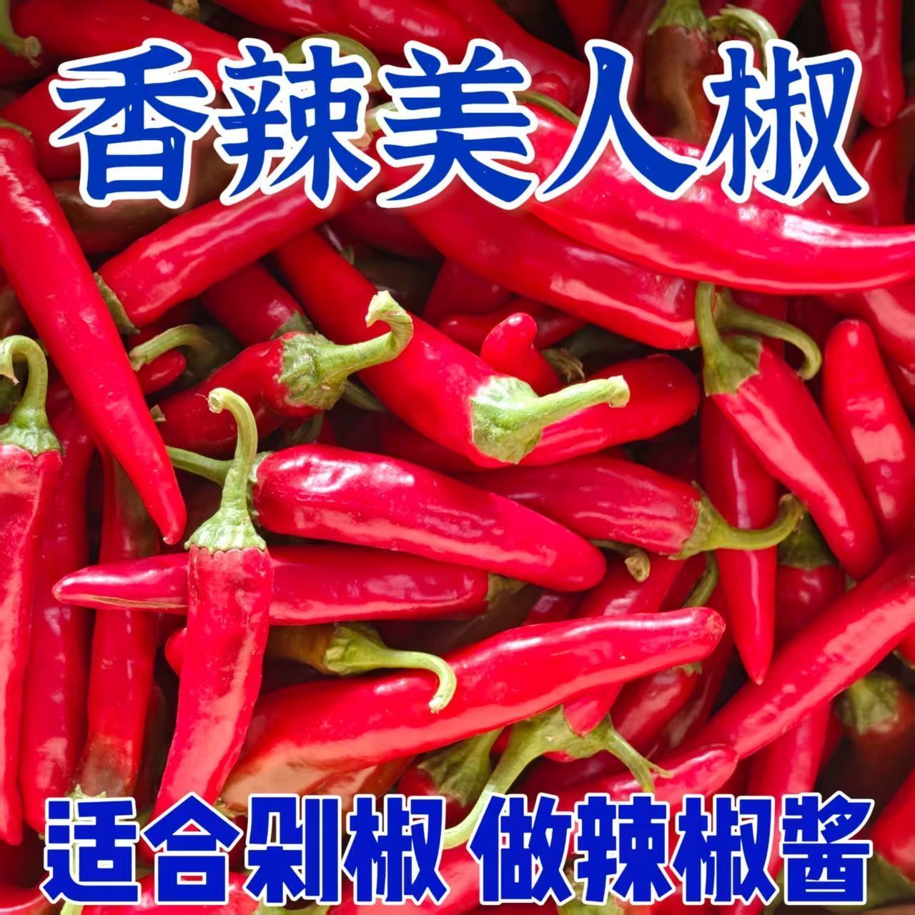 云南现摘农家自种红辣椒新鲜美人椒做辣椒酱