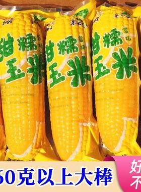 东北10根黄糯甜糯粘玉米苞米真空装包非转基因新鲜粗粮代餐大棒