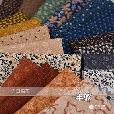 美国日本进口棉布 手工拼布 丰收 harvest E1