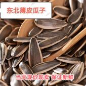 包邮 新货原味薄皮363大瓜子 双星瓜子现炒现卖