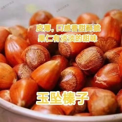 东北玉坠榛子长毛榛子新货