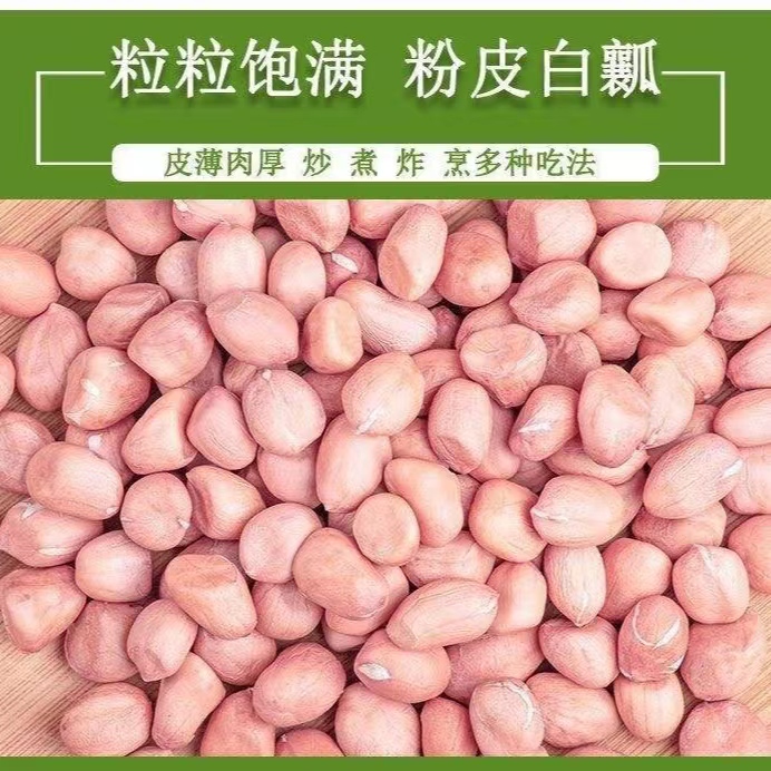新货新鲜白沙花生米 500克散花生