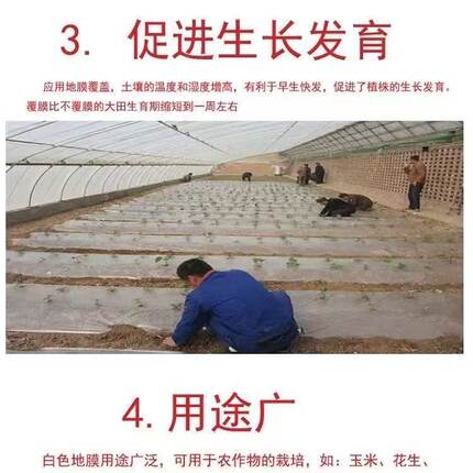 保温保湿白地膜大棚塑料薄膜白色地膜蔬菜种子银黑双色农用工程膜