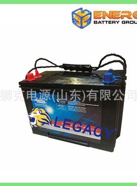 美国ENERGY POWER蓄电池EP-EV27-100A-AM、EP-EV31-115A-AM电瓶