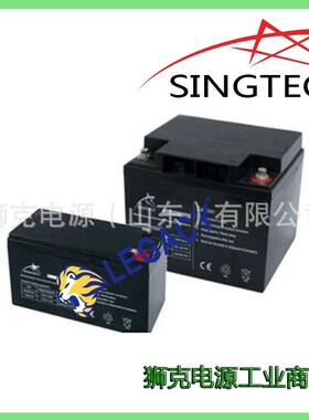 新加坡SINGTECH蓄电池12V17AH阀控式免维护电瓶