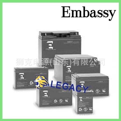 美国EMBASSY蓄电池6CE220、12CE12F2、12CE75、6CE7.5铅酸电瓶