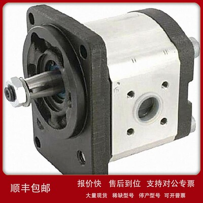 议价德国 产地直发 REXROTH 原装进口 齿轮泵0510325006