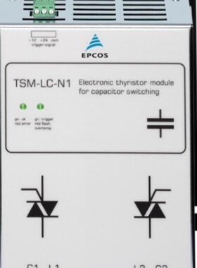 TLA-6T133WLF-T TDK EPCOS 可控硅整流器模块 请联系浦容