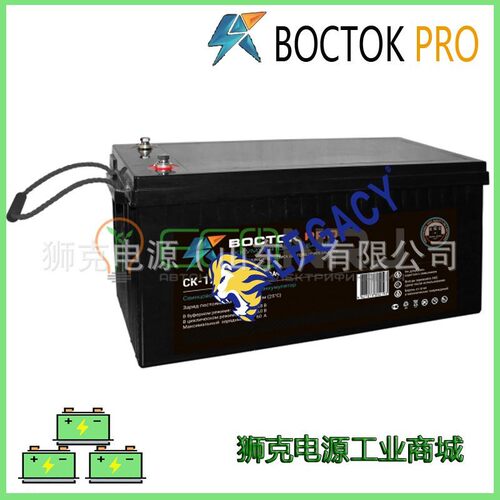 俄罗斯BOCTOK-PRO 蓄电池CK-1209铅酸免维护12V9AH电瓶