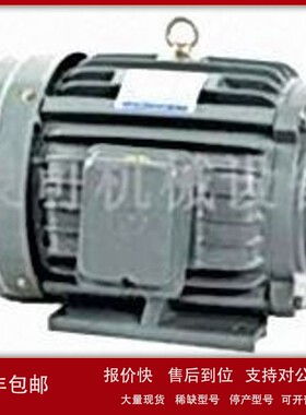 议价内插油泵电机 3-PHASE INDUCTION MOTOR YT100L1-4 2.2KW 马